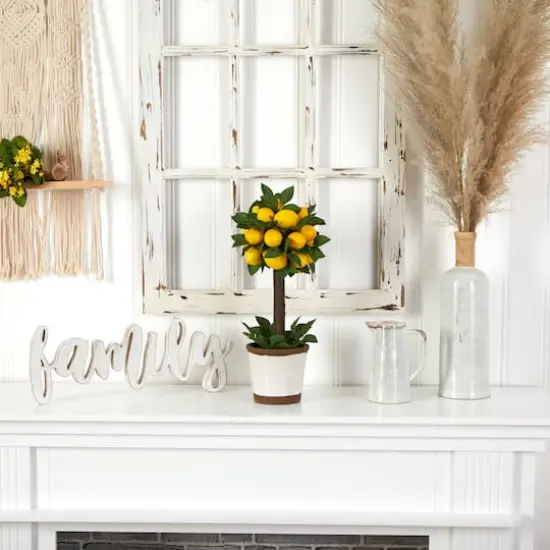 18" Potted Lemon Ball Topiary Arrangement  {6}