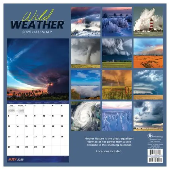 TF Publishing 2025 Weather Wall Calendar {3}