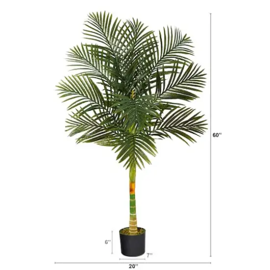 5ft. Potted Golden Cane Palm Tree {3}