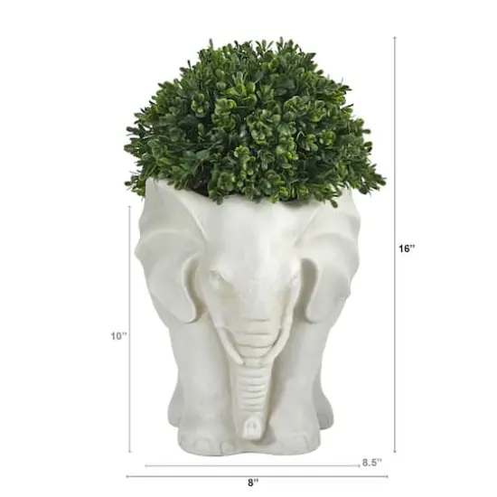 16" Boxwood Topiary Plant in Elephant Shaped Planter {3}