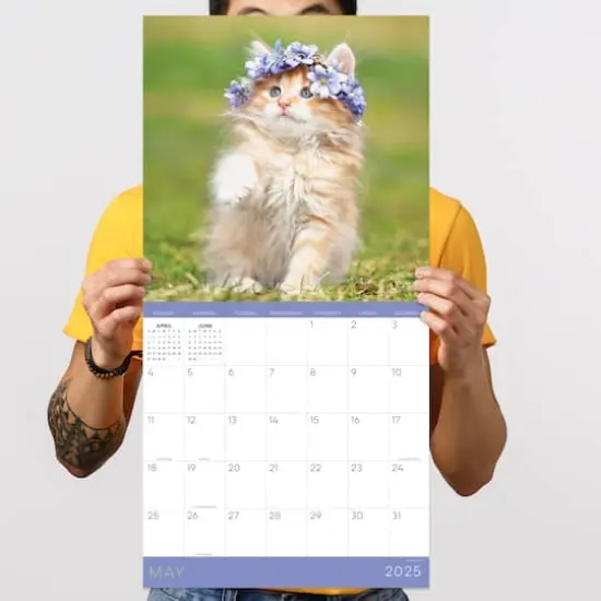 TF Publishing 2025 Kittens Wall Calendar {5}