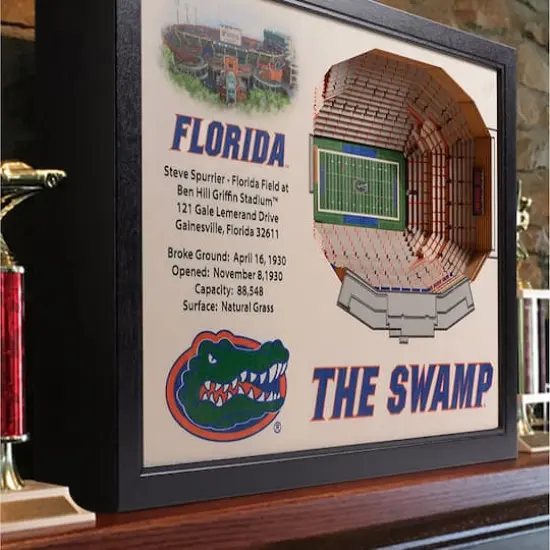 College Football 25-Layer StadiumView Wall Art Florida Gators {4}