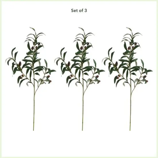 28" Olive Branch Stems, 3ct. {4}