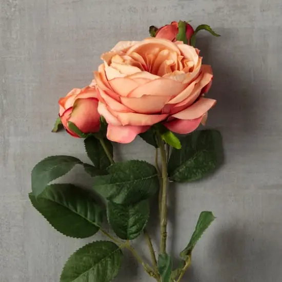 Coral English Rose Stem by Ashland&reg; {3}