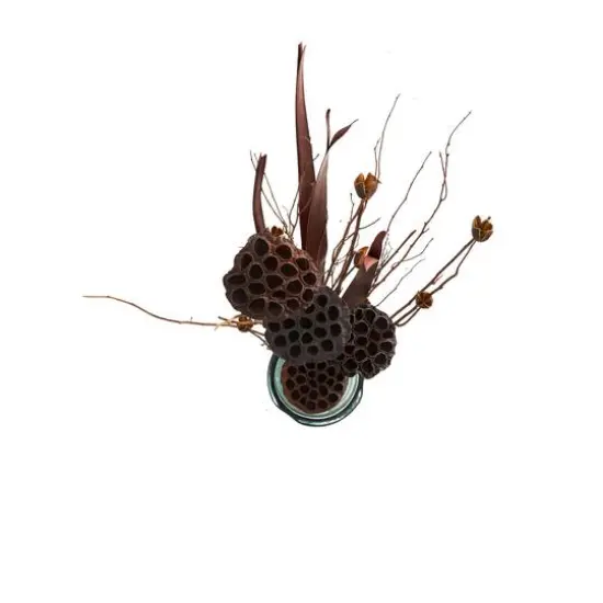40" Brown Dried Lotus Flower Natural Foliage Bundle {4}