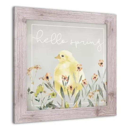 Hello Spring Chick 2 16" x 16" Western White Framed Print {3}
