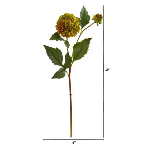 19" Dahlia Stem, 6ct. Green {3}