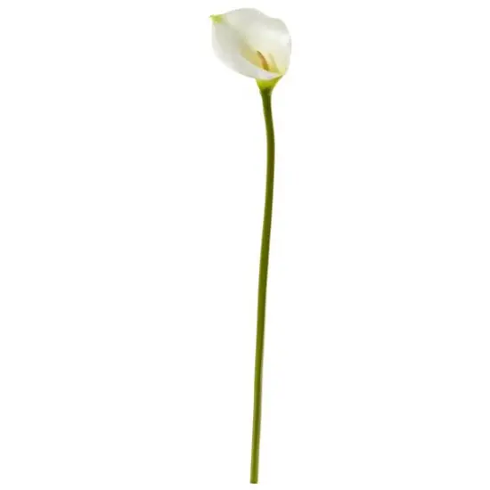 White Calla Lily Flower Stems, 6ct. {1}