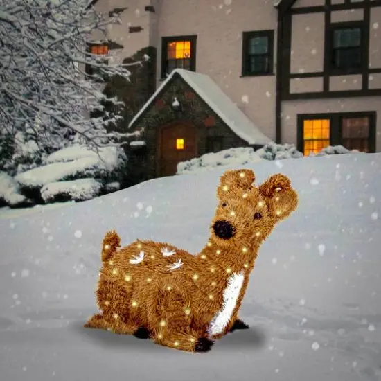 2ft. Brown Resting Reindeer with 100 Clear Lights {3}