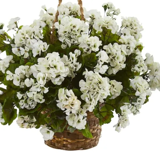 19" Geranium in Hanging Basket {4}