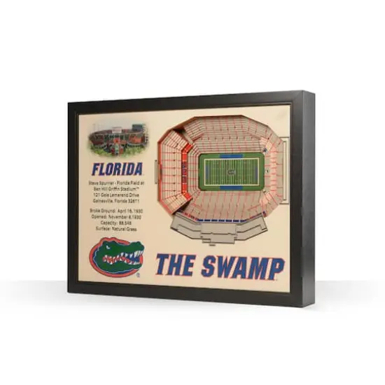 College Football 25-Layer StadiumView Wall Art Florida Gators {1}