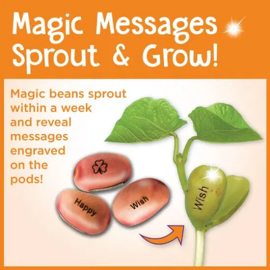 Creativity for Kids&reg; Magic Bean Garden {6}