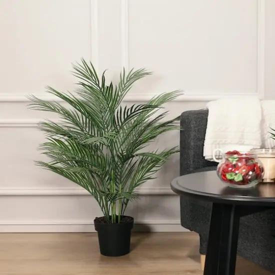 2.6ft. Potted Areca Palm Tree {4}