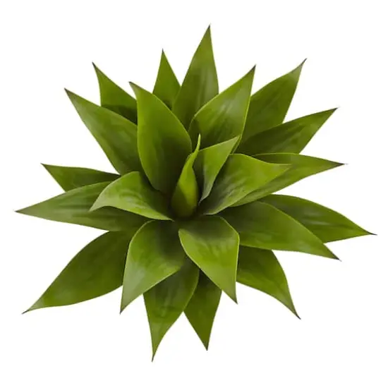 Green Large Agave Pick {3}