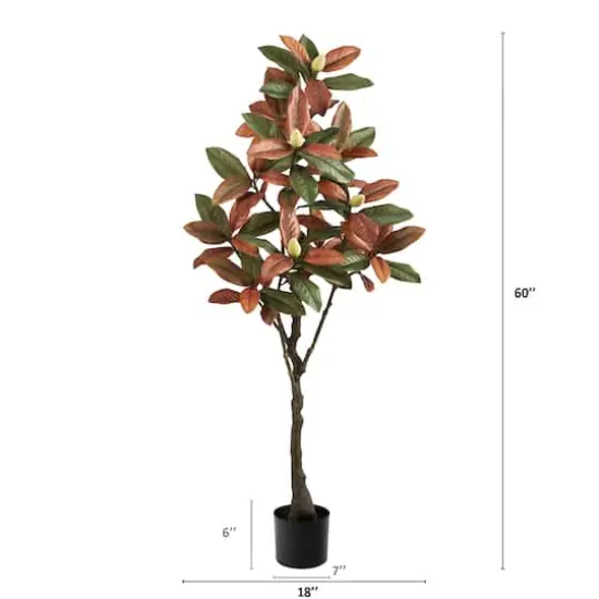 5ft. Potted Fall Magnolia Tree {4}