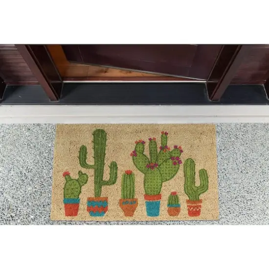 DII&reg; Cactus Doormat {4}
