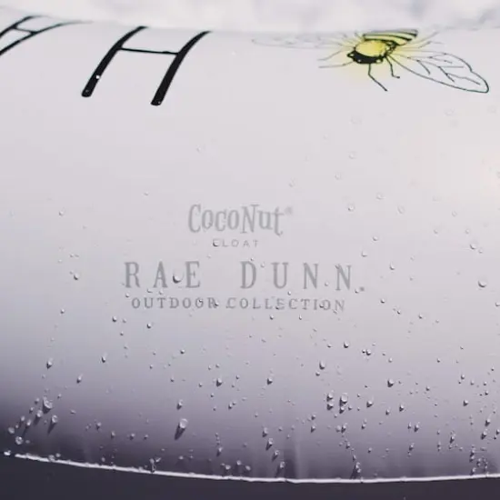 Rae Dunn Bee Happy Chair Lounger {5}