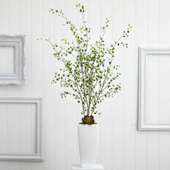 4ft. Night Willow in White Planter {5}