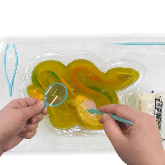 Dissect It Rattlesnake Super Lab Kit {5}