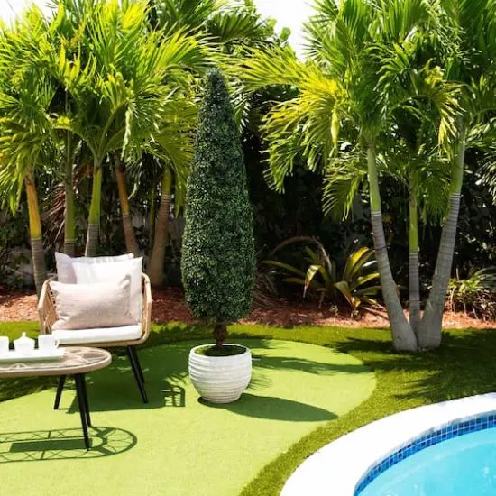 6ft. UV-Resistant Potted Boxwood Topiary Cone Tree {3}