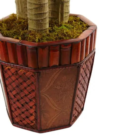 4.5ft. Cornstalk Dracaena in Wooden Planter {4}