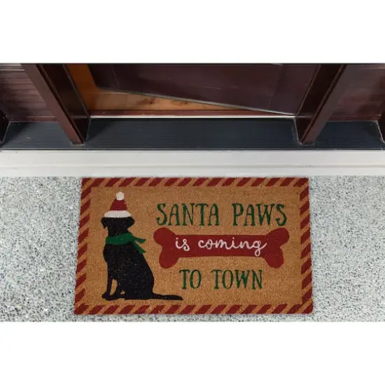 DII&reg; Santa Paws Doormat {5}