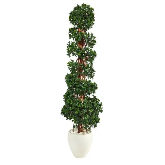 5.8ft. English Ivy Spiral Topiary in White Planter {1}