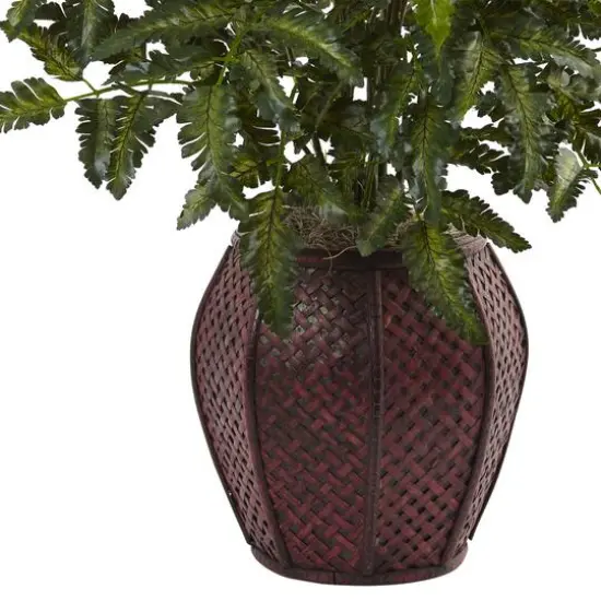 2.5ft. Bracken Fern in Decorative Planter {4}