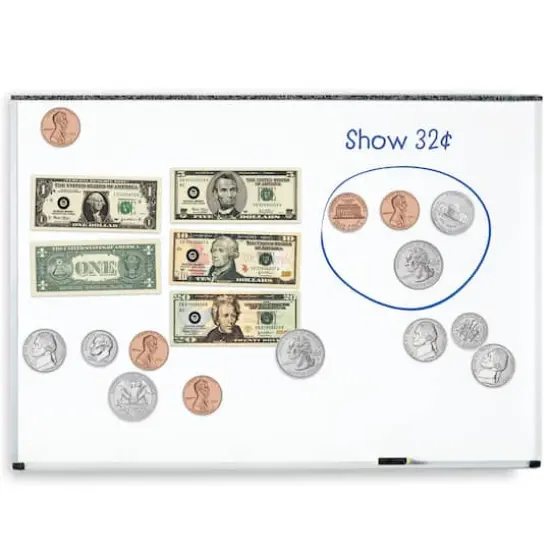 Learning Resources Double-Sided Magnetic Money Set {1}