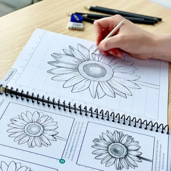 ArtSkills&reg; Art Class Basics Learn to Draw Activity with Pencil Set {4}