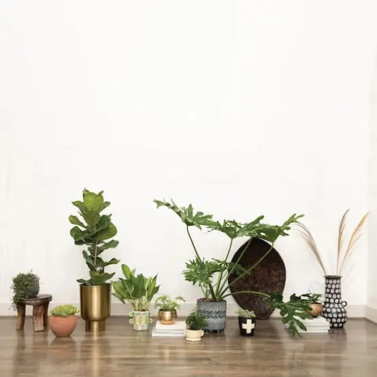 Hello Honey&reg; 6" White & Blue Splatter Design Stoneware Footed Planter {4}