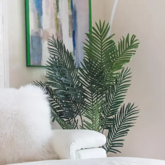 5ft. Potted Paradise Palm {6}