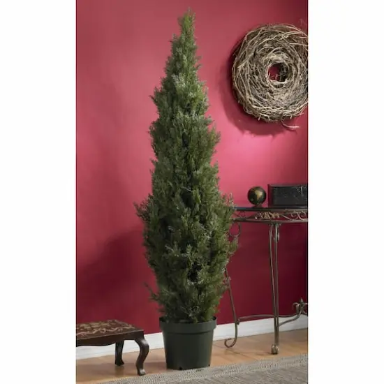 6ft. Cedar Pine Tree {4}