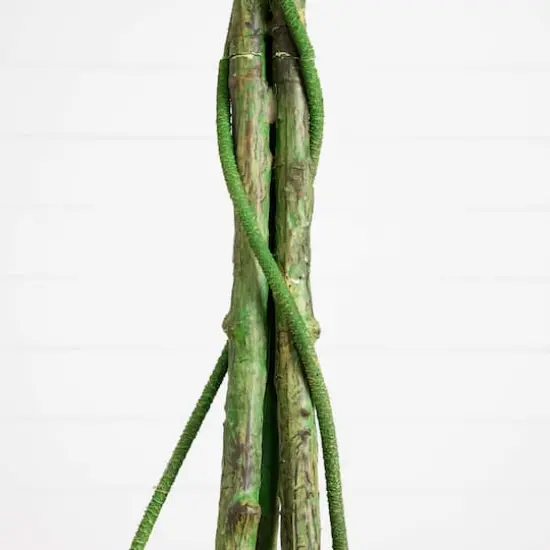 6.5ft. UV Resistant Artificial Ficus Tree (Indoor/Outdoor) {6}