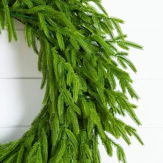 24in. Pre-Lit Artificial Real Touch Norfolk Island Pine Wreath with 50 Warm White LED Lights and Natural Look {5}