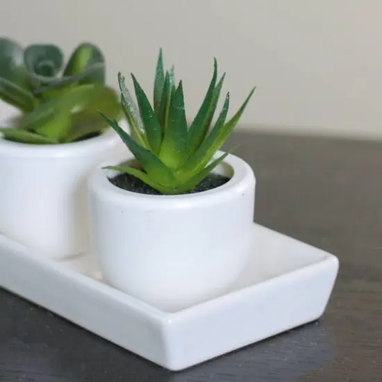 3.5" Artificial Succulent with White Pot {3}