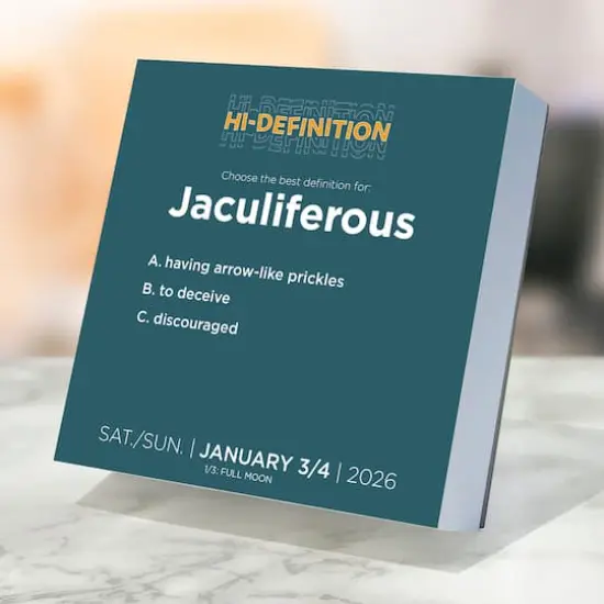 2026 Daily Word Puzzle Daily Desktop Calendar {4}