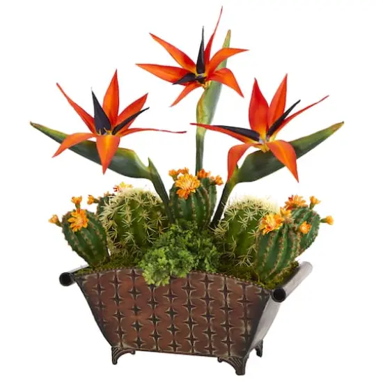 21" Bird of Paradise & Cactus Plant in Metal Planter {1}