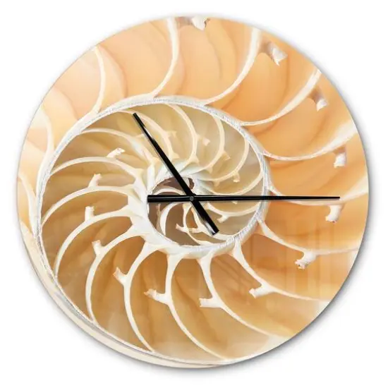Designart 'Brown Nautilus Shell Pattern Modern Wall Clock {1}