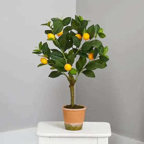 2ft. Lemon Tree in Brown Planter {4}