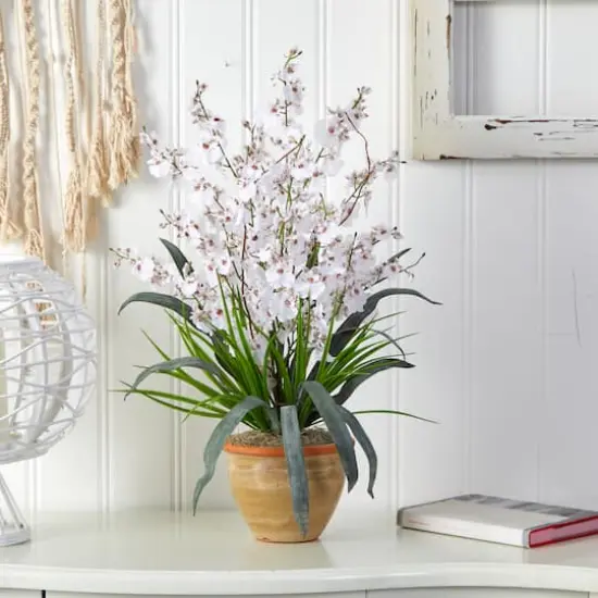 2ft. White Dancing Lady Orchid Arrangement in Ceramic Vase {4}