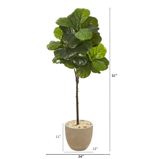 4.5ft. Fiddle Leaf Tree in Sandstone Planter {3}