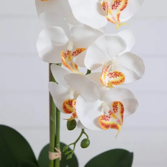 2.25ft. Artificial Triple Orchid Arrangement in Handmade Mexican Talavera Ceramic Planter {7}