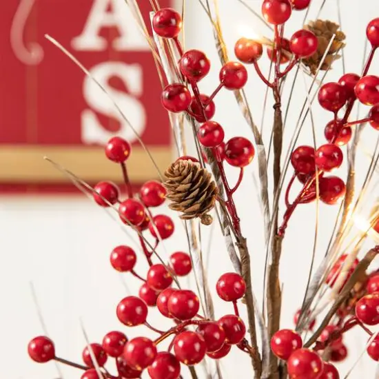 3ft. Pre-Lit Berry & Pinecone Artificial Urn Christmas Porch Tree, Warm White LED Lights {7}