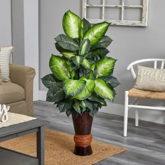 4ft. Golden Dumb Cane in Bamboo Planter {3}
