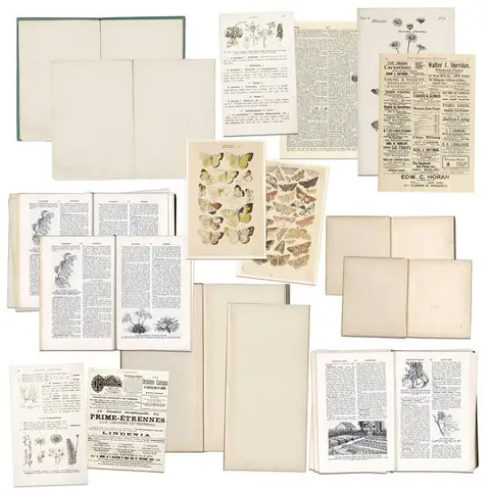 49 and Market Vintage Artistry Naturalist Bookplates {3}