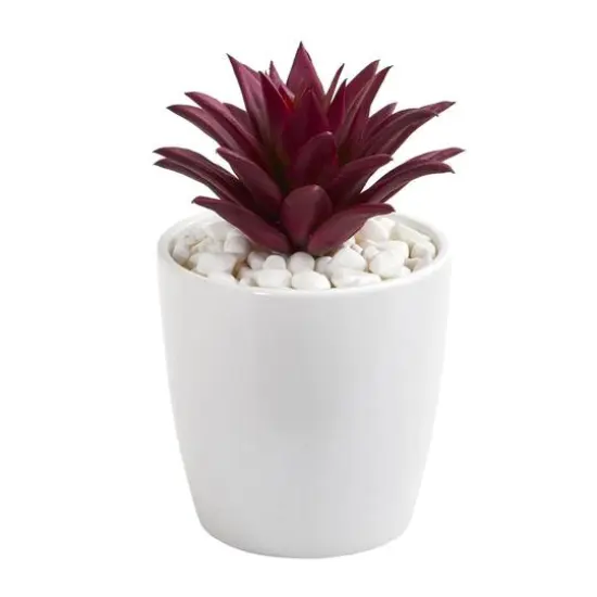 10" Mixed Succulent Plants in White Vases Set {4}