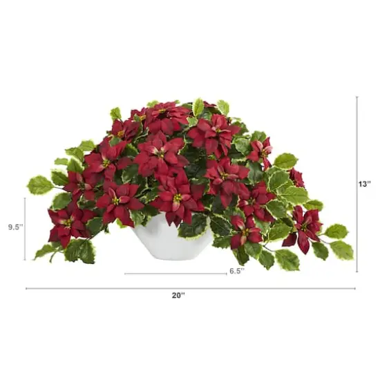 20" Poinsettia & Variegated Holly Plant in Oval White Planter {3}