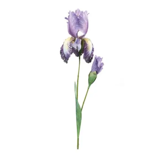 32.5" Iris Floral Stem, 6ct. {1}