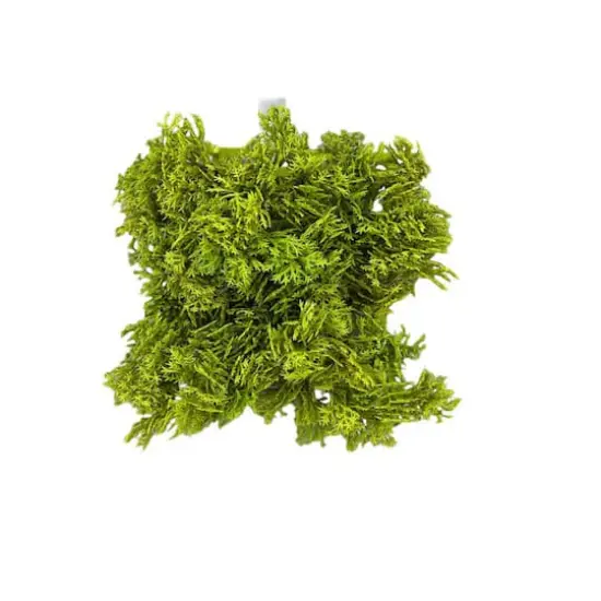 5" Faux Moss Mat by Ashland&reg; {1}